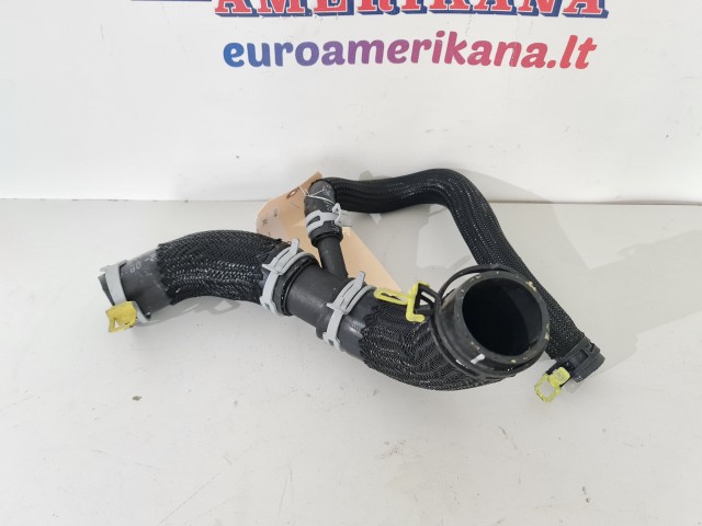 Lower Hose